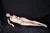MIKAKO|#142