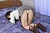 KAEDE|#73