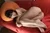 KAZUHO|#136