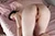 KUORI 2|#152