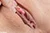 KUORI 3|#123