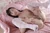 TOYOMI 2|#103
