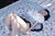 AKINO|#43