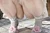 MAYUKI|#9