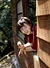 SANAE 1|#39