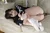 FUSAKO 3|#48