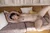 SUZUHO|#141