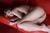TSUBAME 5|#142