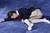 YUKAKO 3|#31