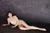 AIKA|#128