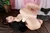 KANAMI|#100