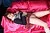 ERIKO|#67