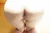 NANAO 6|#79