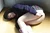 YUI Kasugano 6|#29