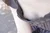 HASUMI|#3