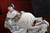 MISAE 5|#33