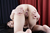 NONOMI|#118