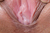 SEARA 2|#102