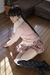 RANKA 3|#39