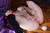 YUWA 6|#100