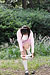 SAKURA Shiraishi|#16