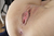 HIMEKA|#131