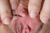 HIMEKA|#147