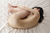 HARUNA|#119