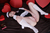 YUUA|#116