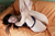 KOKOA|#107
