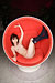 AI Takahashi|#143