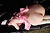 AI Takahashi|#57