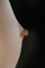 YUI Kasugano 2|#69