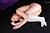 ASUMI 2|#54