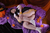 YUKIKO 2|#75