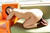 YURIA 6|#39