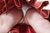 YUWA 3|#10