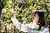 MASAMI 1|#29
