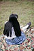 RIKA 2|#28