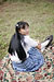 RIKA 2|#29