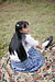 RIKA 2|#30