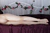 YUKIHO|#121
