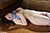 KAZUKO 2|#91
