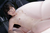 TSUKIHO 4|#122