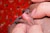 SAORI 1|#137