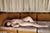 ASAKO|#98