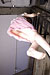 YUKO 1|#117