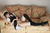 YUI Kasugano 4|#119