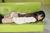YUI Kasugano 4|#39
