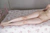HASUMI 2|#134
